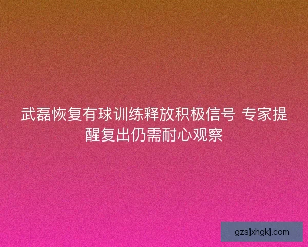 武磊恢复有球训练释放积极信号 专家提醒复出仍需耐心观察